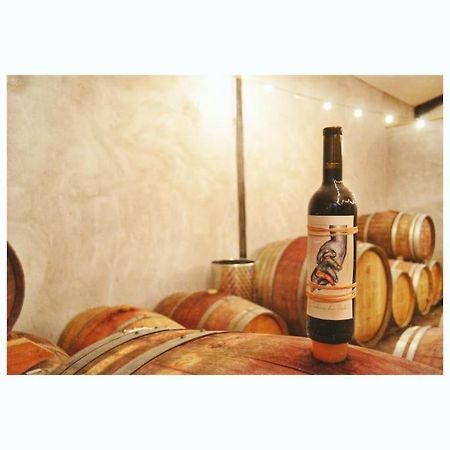 Maison De Campagne Dans Un Domaine Viticole Tautavel 外观 照片