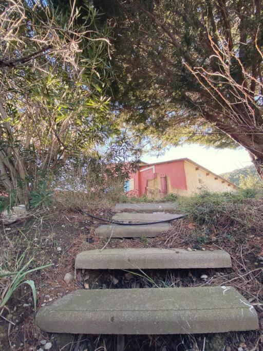 Maison De Campagne Dans Un Domaine Viticole Tautavel 外观 照片